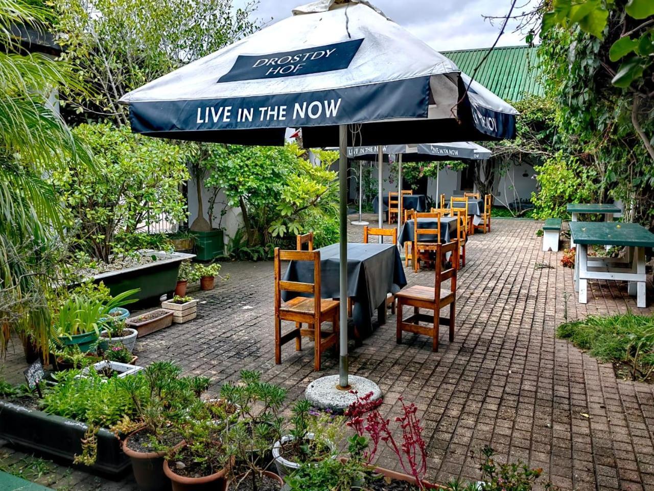 Albertinia Hotel מראה חיצוני תמונה